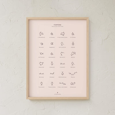 GoldLeaf Terpene Molecular Structures Chart Print Best Sales Price - Art Prints