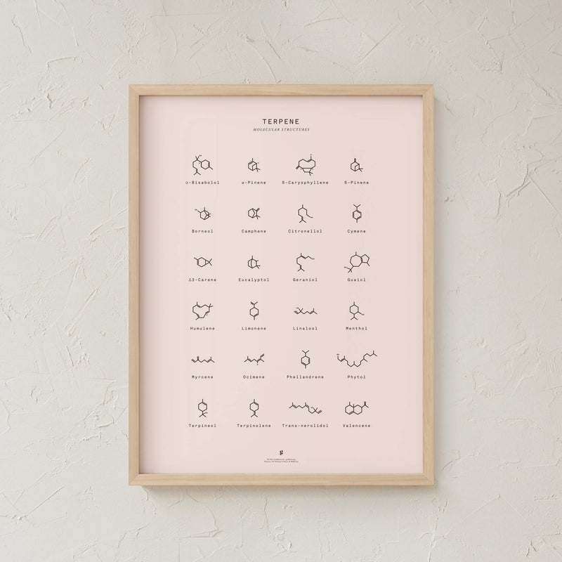 GoldLeaf Terpene Molecular Structures Chart Print Best Sales Price - Art Prints