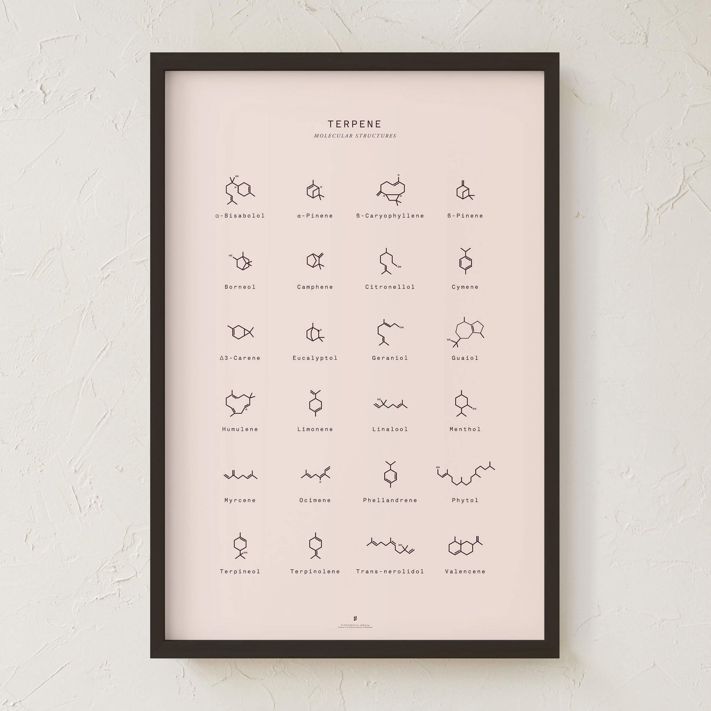 GoldLeaf Terpene Molecular Structures Chart Print Best Sales Price - Art Prints