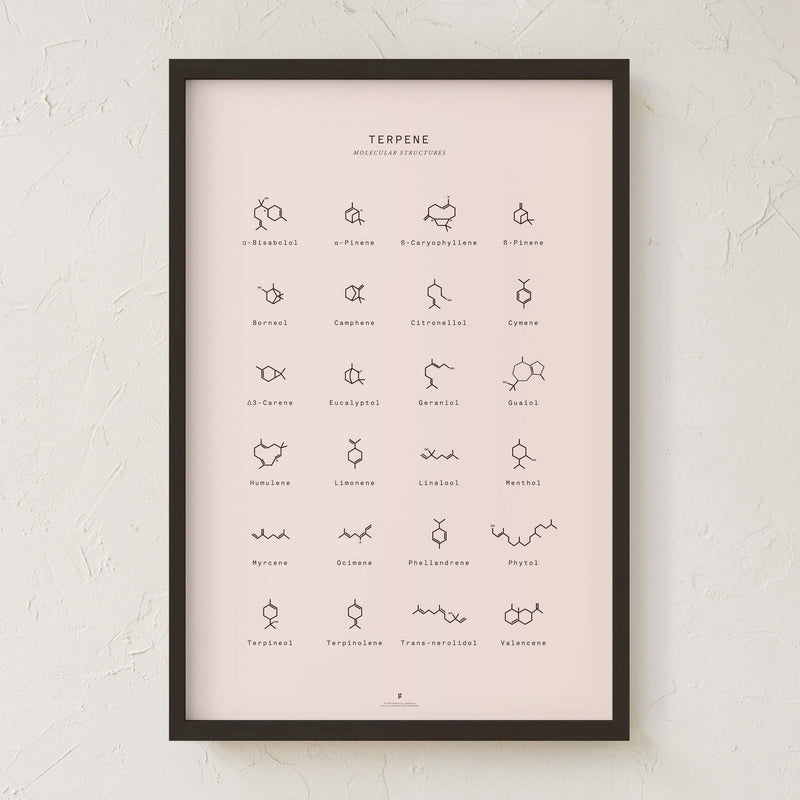 GoldLeaf Terpene Molecular Structures Chart Print Best Sales Price - Art Prints