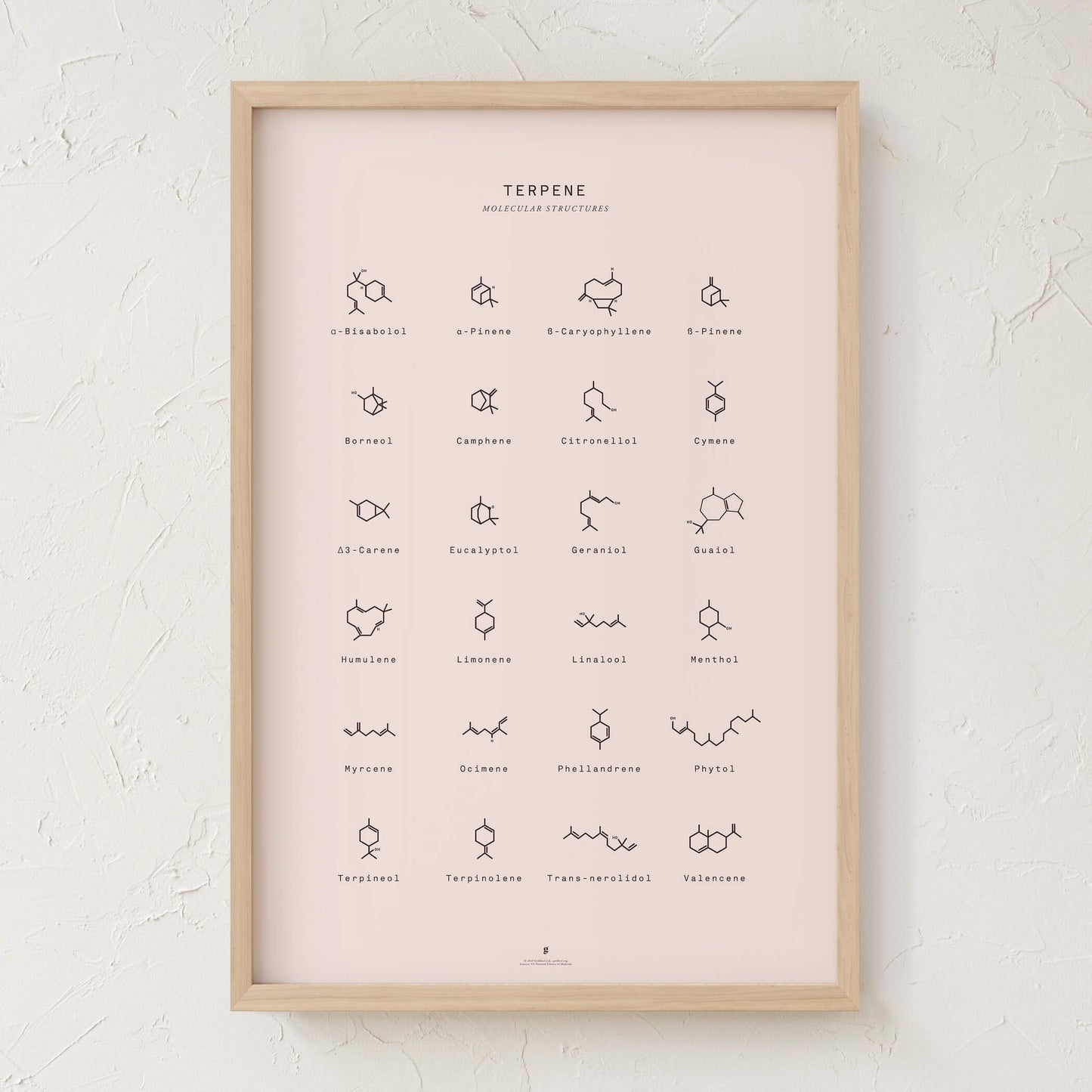 GoldLeaf Terpene Molecular Structures Chart Print Best Sales Price - Art Prints