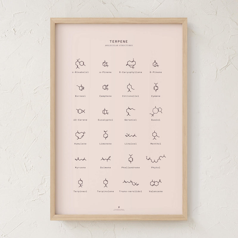 GoldLeaf Terpene Molecular Structures Chart Print Best Sales Price - Art Prints