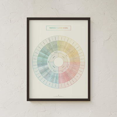GoldLeaf Terpene Flavor Wheel Diagram Print Best Sales Price - Art Prints