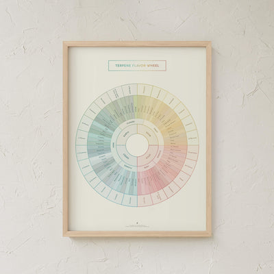 GoldLeaf Terpene Flavor Wheel Diagram Print Best Sales Price - Art Prints