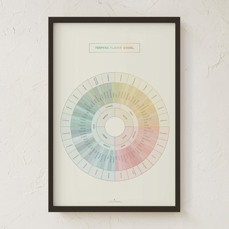 GoldLeaf Terpene Flavor Wheel Diagram Print Best Sales Price - Art Prints