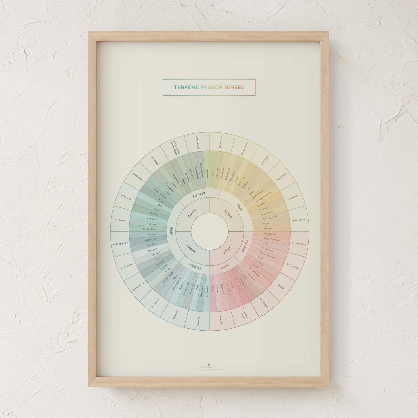 GoldLeaf Terpene Flavor Wheel Diagram Print Best Sales Price - Art Prints