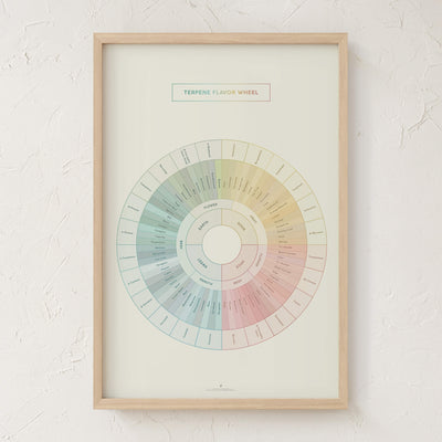 GoldLeaf Terpene Flavor Wheel Diagram Print Best Sales Price - Art Prints