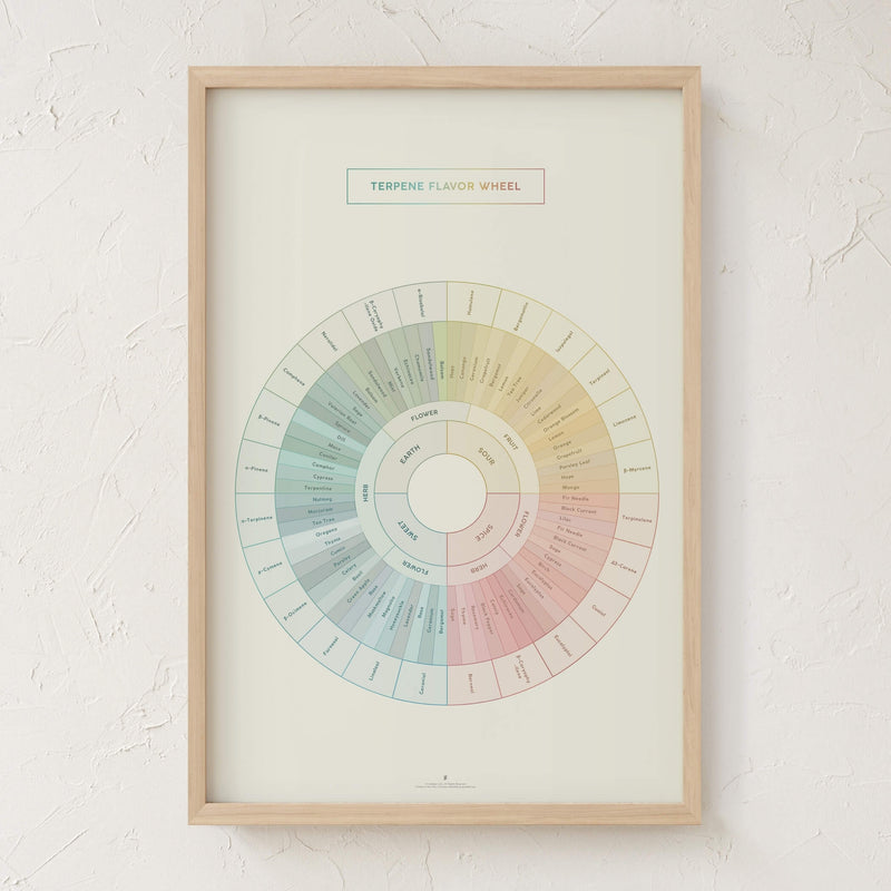 GoldLeaf Terpene Flavor Wheel Diagram Print Best Sales Price - Art Prints