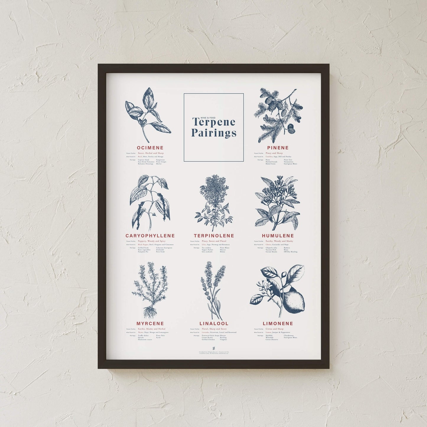 GoldLeaf Terpene Food & Wine Pairing Chart Print Best Sales Price - Art Prints