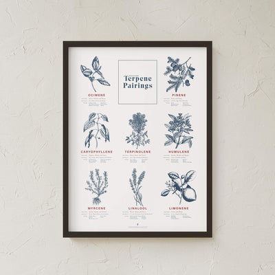 GoldLeaf Terpene Food & Wine Pairing Chart Print Best Sales Price - Art Prints