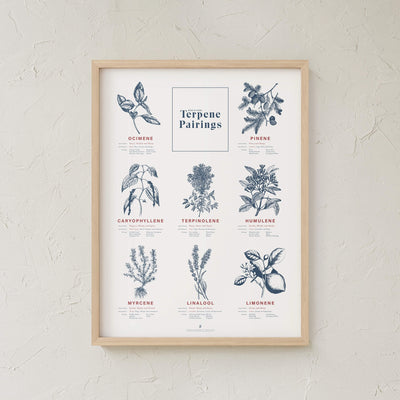 GoldLeaf Terpene Food & Wine Pairing Chart Print Best Sales Price - Art Prints