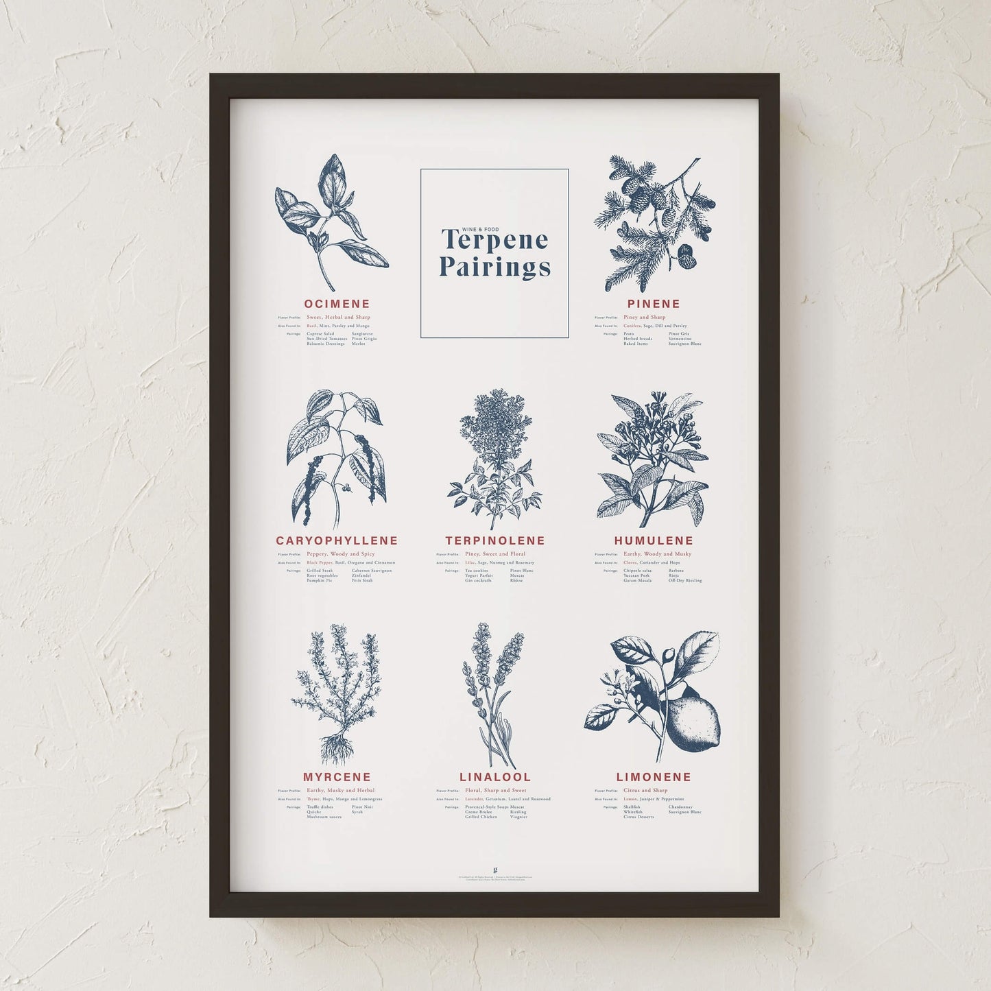 GoldLeaf Terpene Food & Wine Pairing Chart Print Best Sales Price - Art Prints