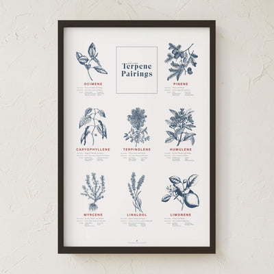 GoldLeaf Terpene Food & Wine Pairing Chart Print Best Sales Price - Art Prints