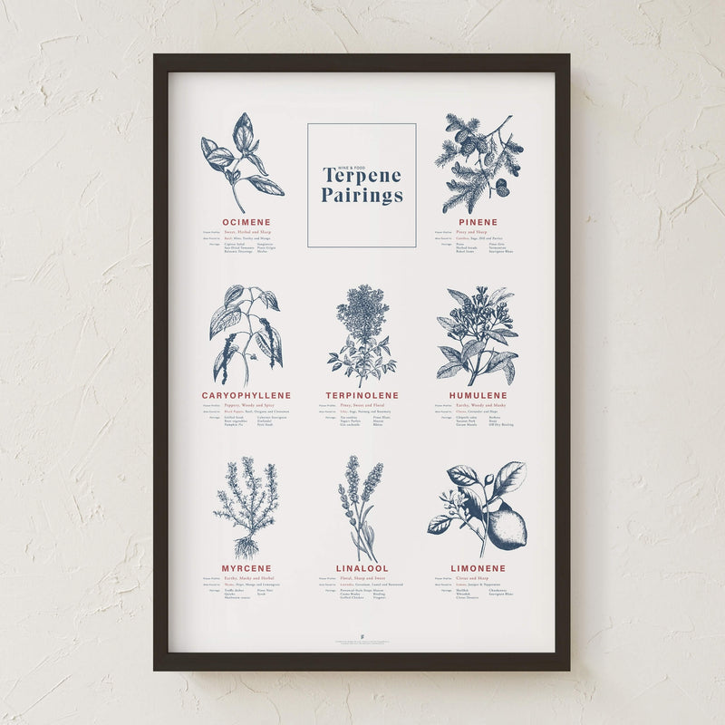 GoldLeaf Terpene Food & Wine Pairing Chart Print Best Sales Price - Art Prints