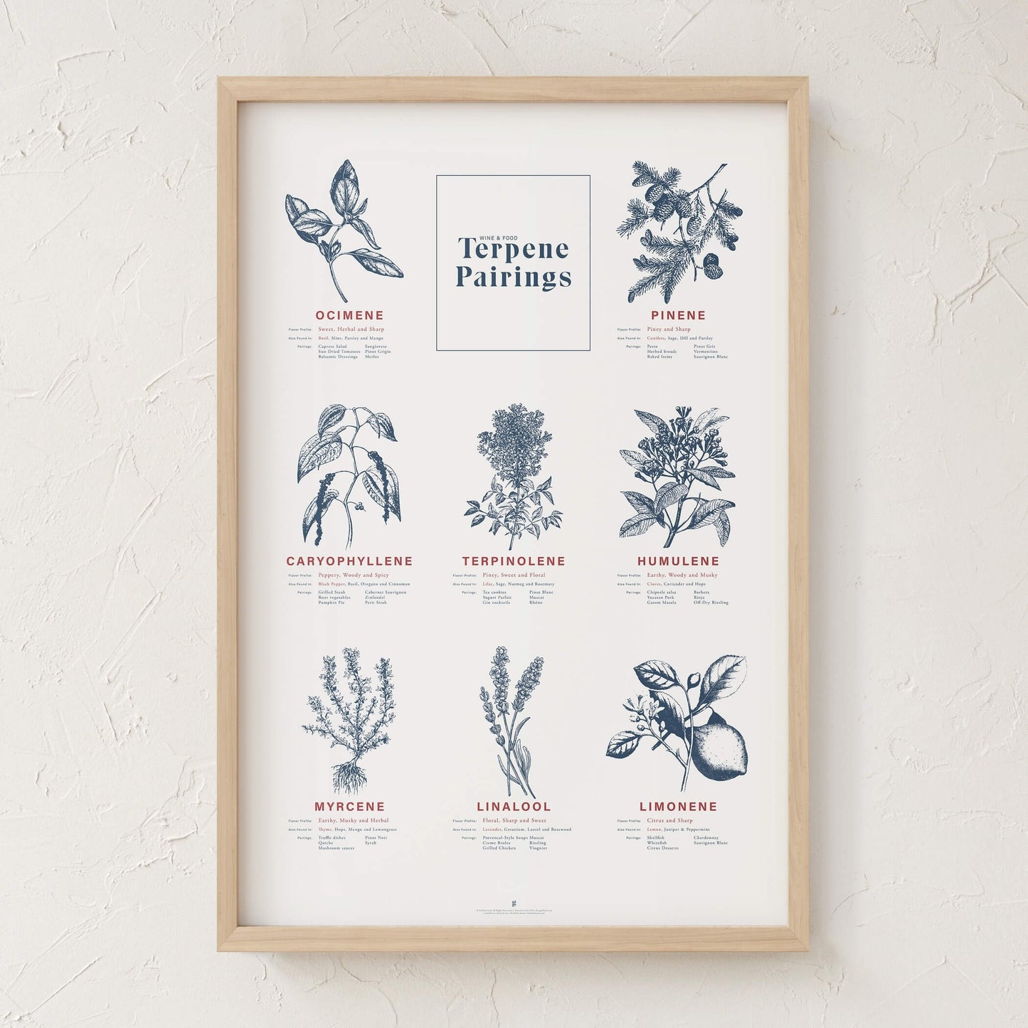 GoldLeaf Terpene Food & Wine Pairing Chart Print Best Sales Price - Art Prints