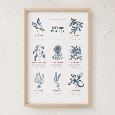 GoldLeaf Terpene Food & Wine Pairing Chart Print Best Sales Price - Art Prints