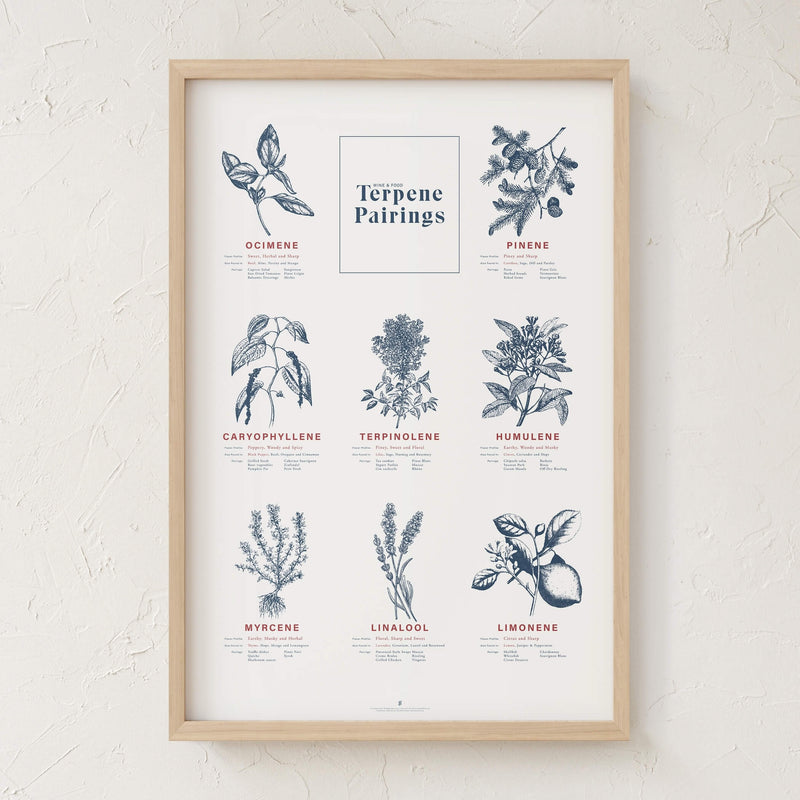 GoldLeaf Terpene Food & Wine Pairing Chart Print Best Sales Price - Art Prints
