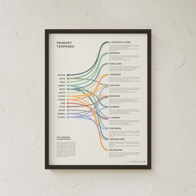 GoldLeaf Terpenes Infographic Print Best Sales Price - Art Prints