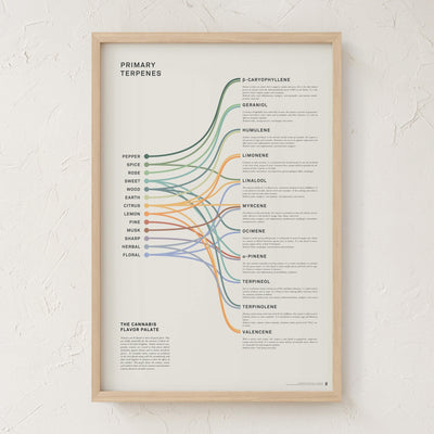GoldLeaf Terpenes Infographic Print Best Sales Price - Art Prints