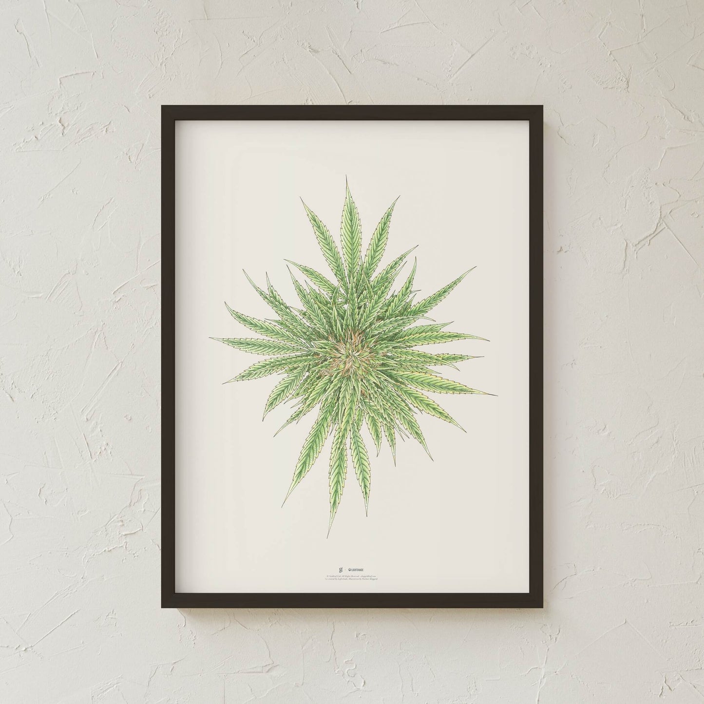 GoldLeaf White Dawg Botanical Illustration Print Best Sales Price - Art Prints