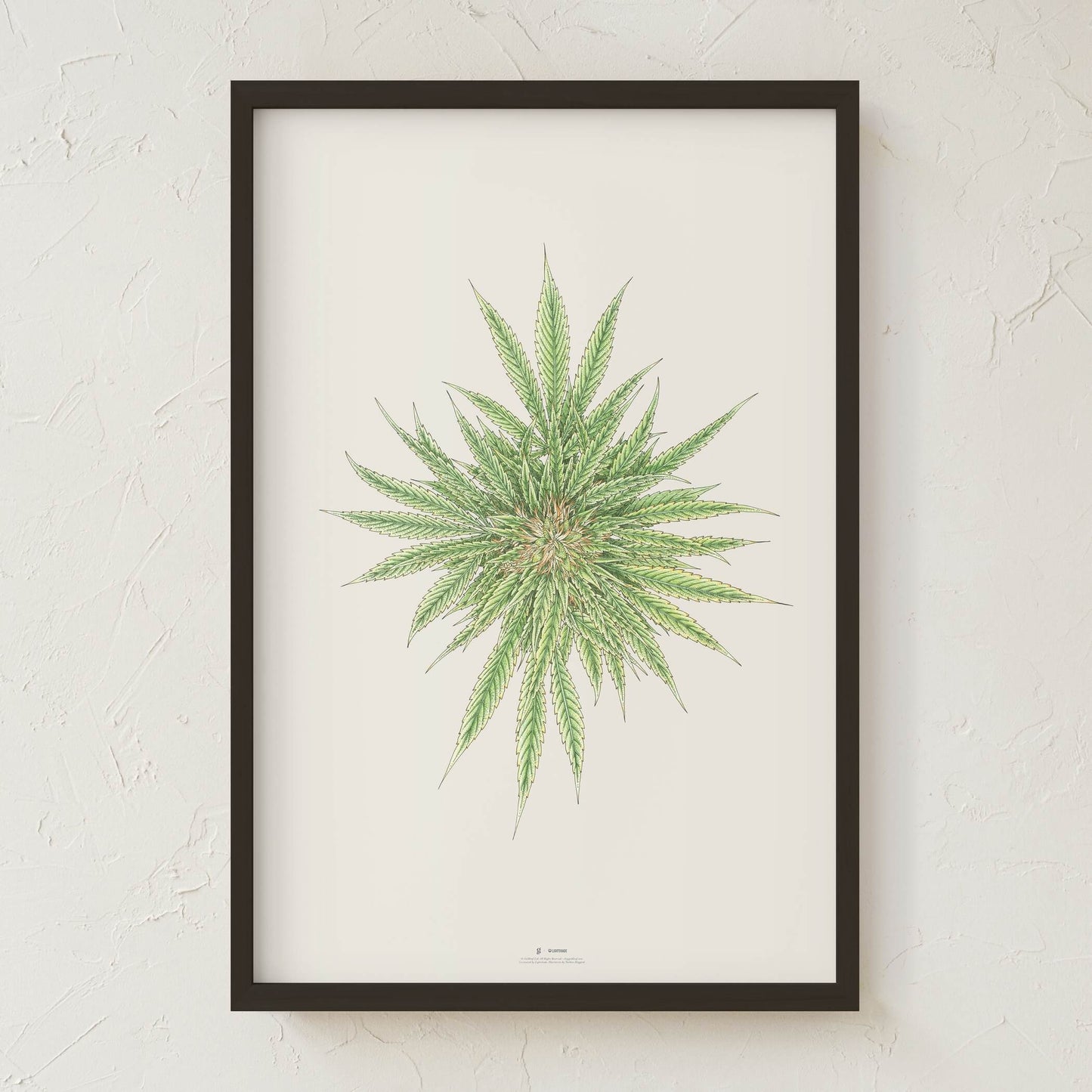 GoldLeaf White Dawg Botanical Illustration Print Best Sales Price - Art Prints