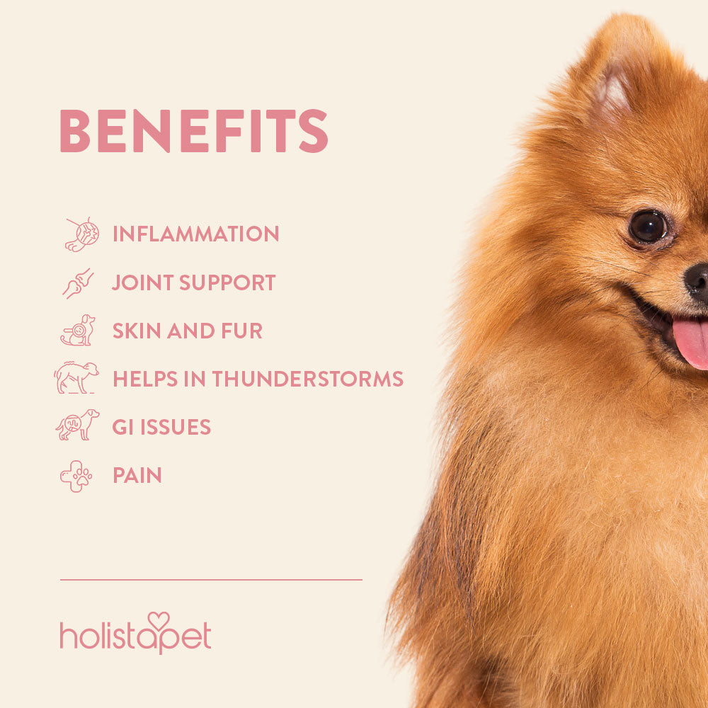 Holistapet Salmon Flavored CBD Oil For Dogs