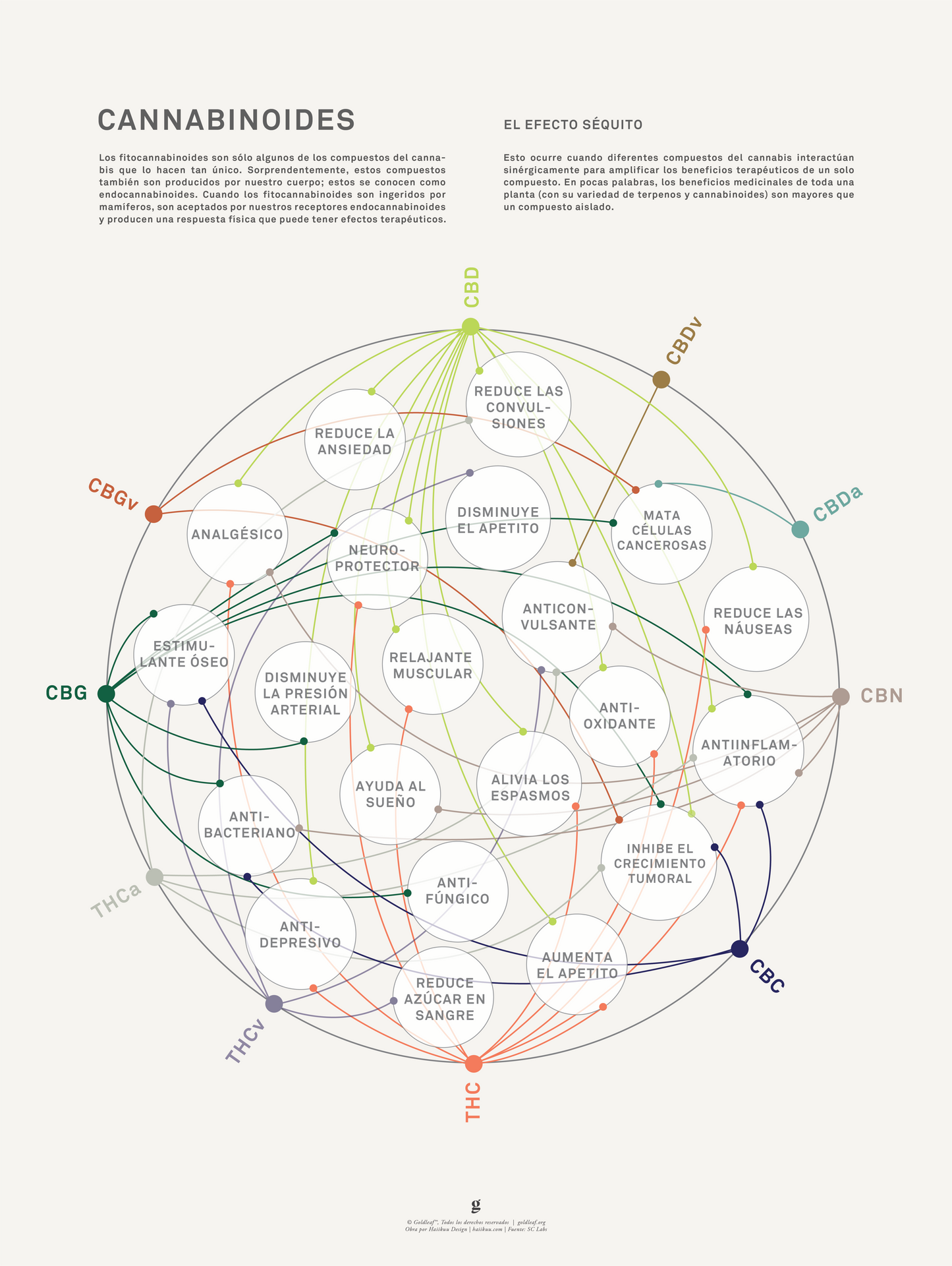 GoldLeaf La Matriz de Salud Cannabinoides Impresíon Best Sales Price - Art Prints