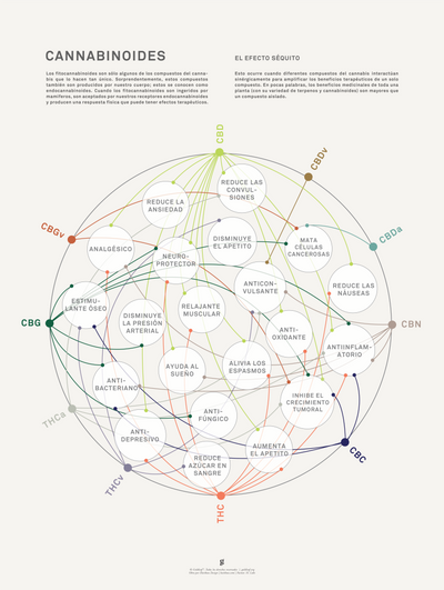 GoldLeaf La Matriz de Salud Cannabinoides Impresíon Best Sales Price - Art Prints