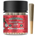 Hidden Hills Lil Hash Homies THCa Pre-Rolls 10ct 10g