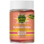 Hidden Hills Mini Mart Double Troublez 10,000mg Gummies 10ct