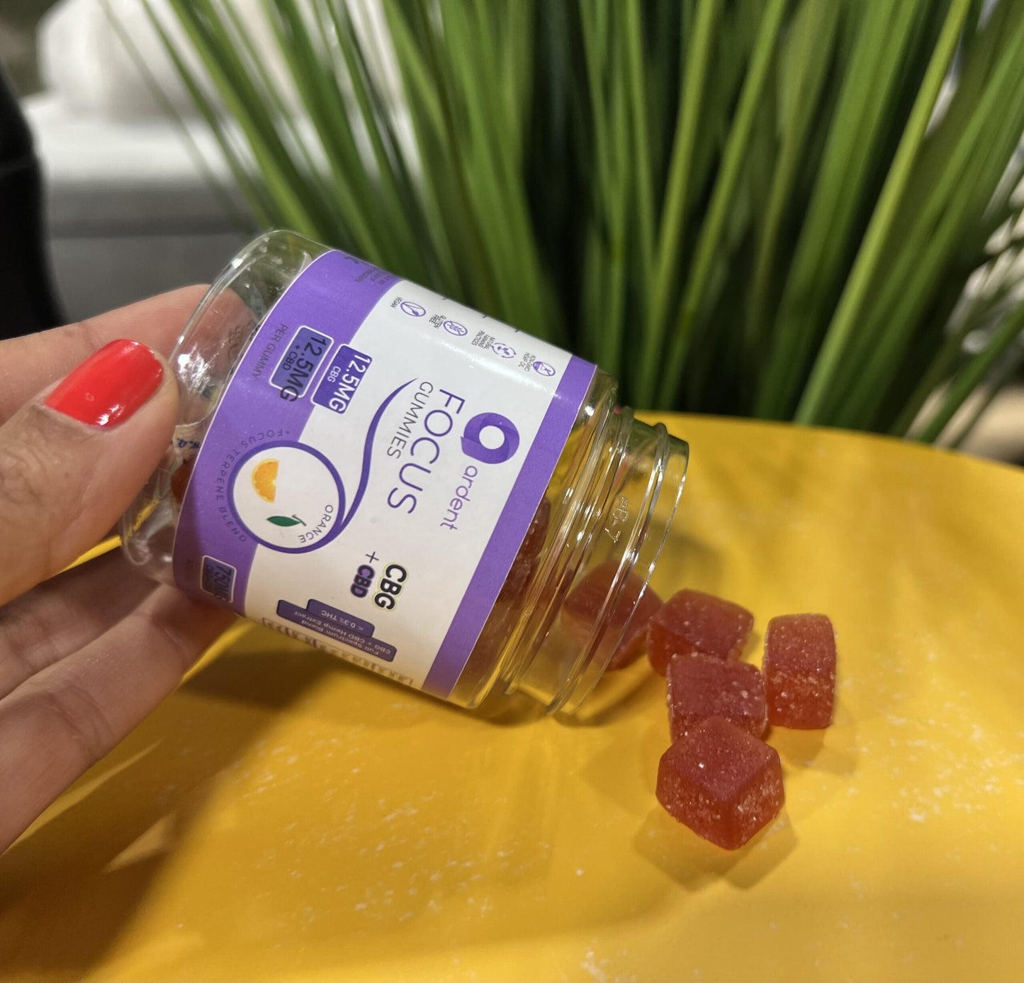 Ardent CBG & CBD Focus Gummies