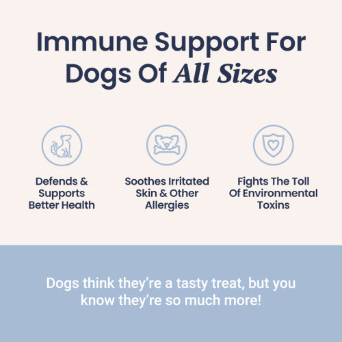 Holistapet Immune Support + Functional Mushroom Soft Chews for Dogs