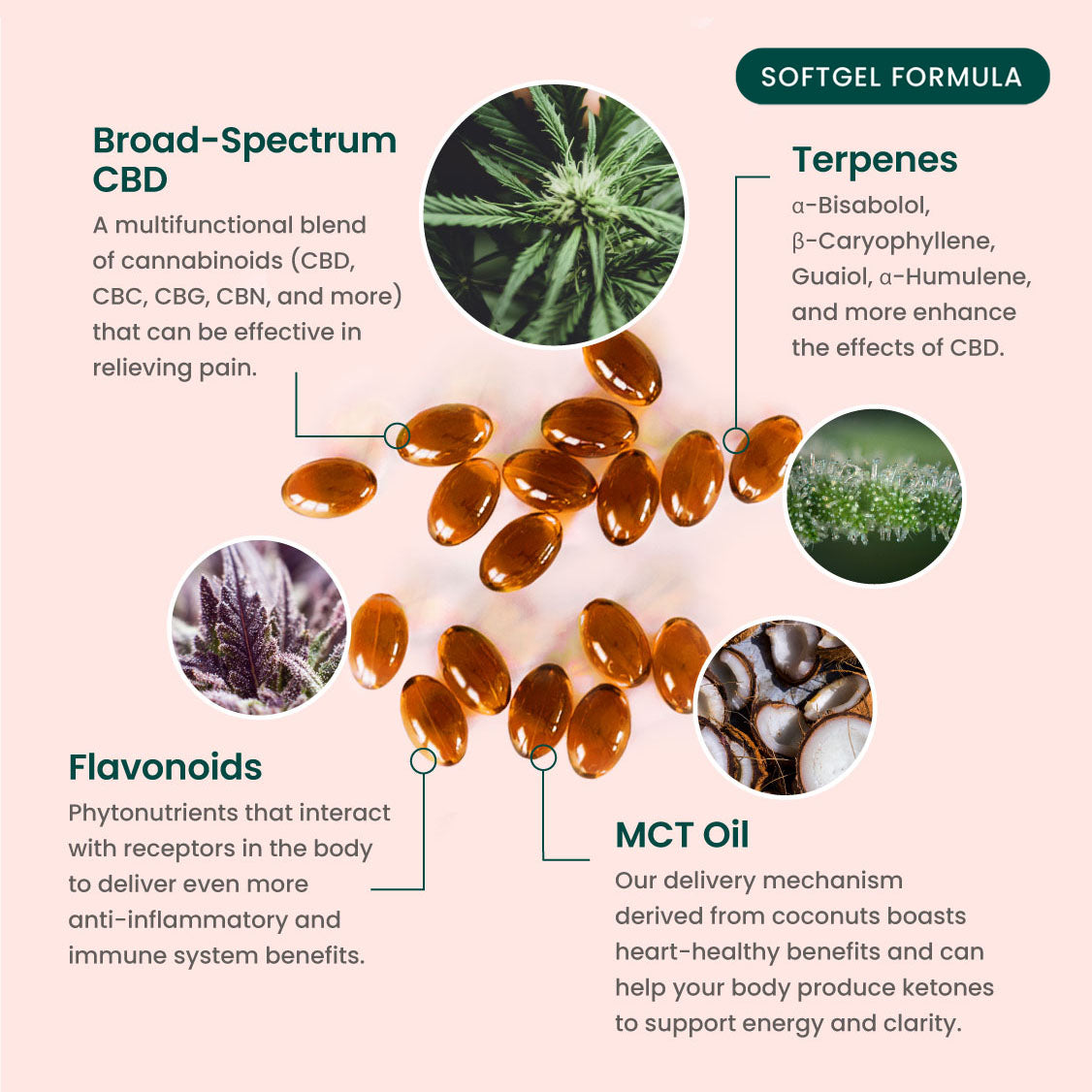 R&R CBD Multifunctional THC-Free CBD Softgels