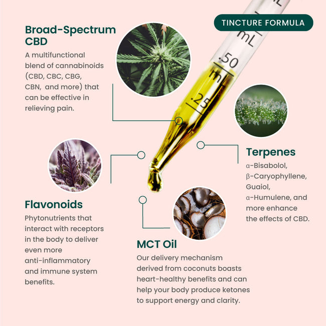 R&R CBD Multifunctional THC-Free CBD Tinctures