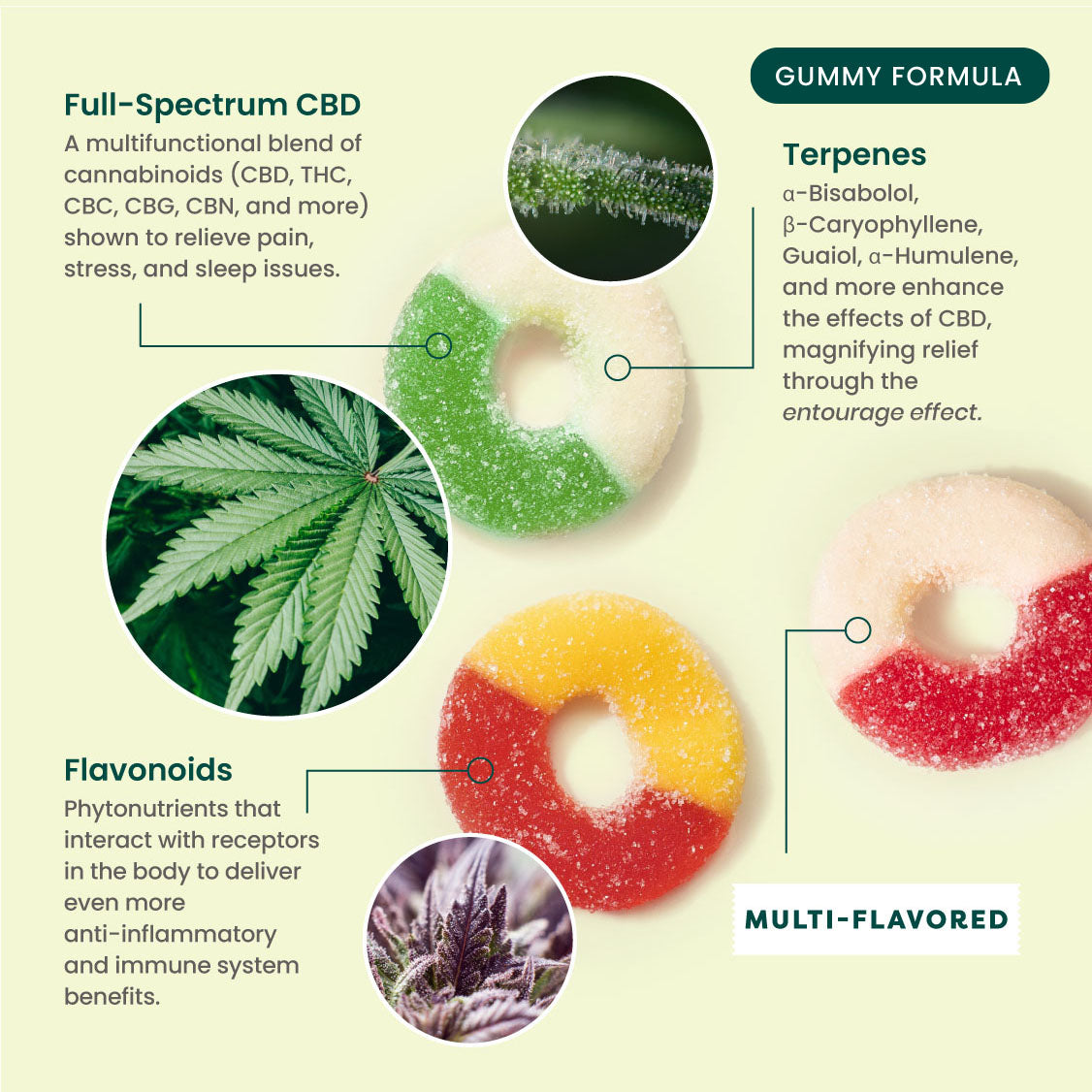 R&R CBD Multifunctional CBD Gummies