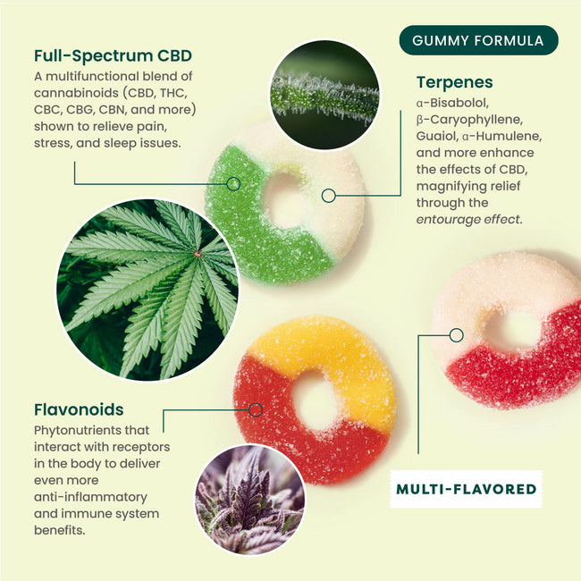 R&R CBD Multifunctional CBD Gummies
