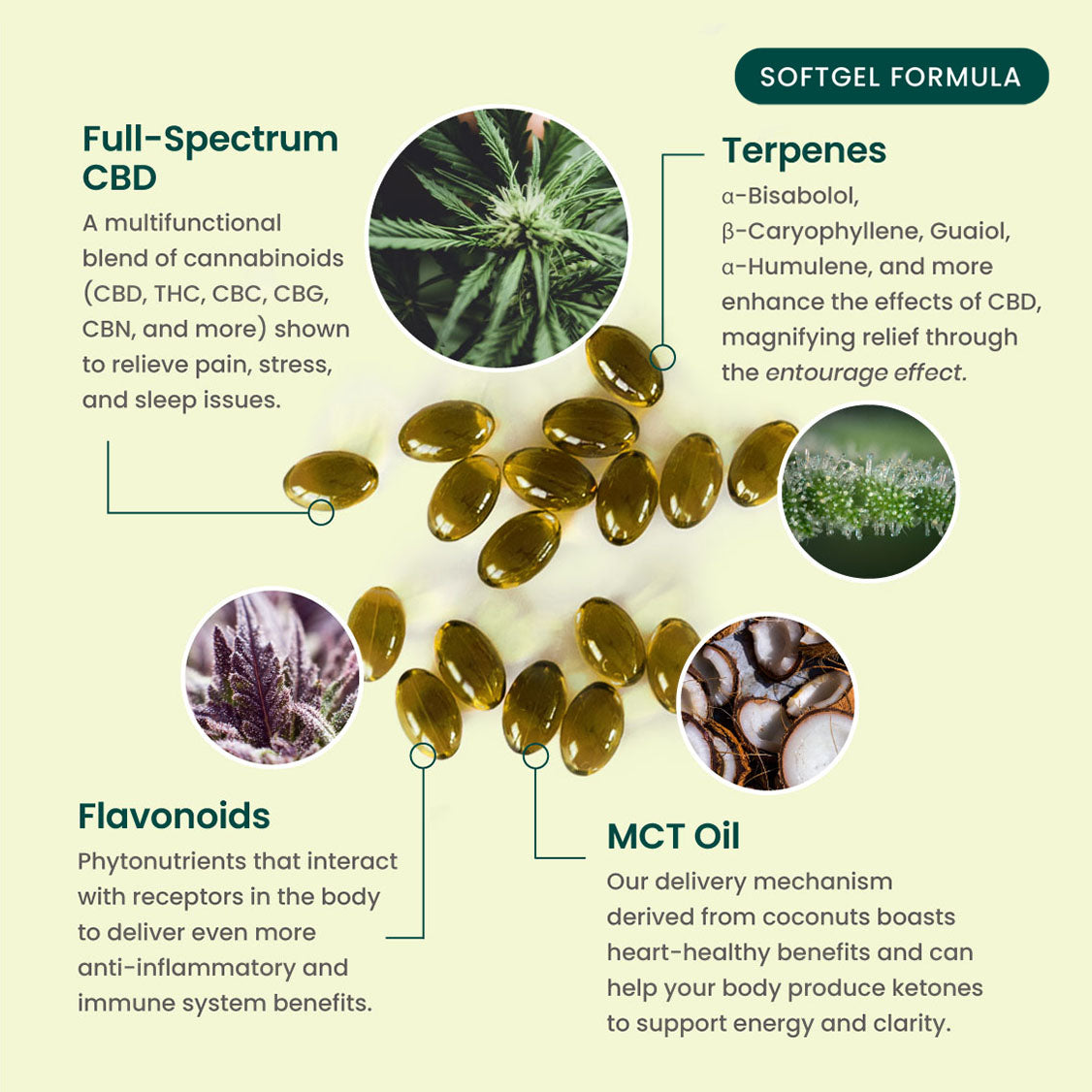 R&R CBD Multifunctional CBD Softgels
