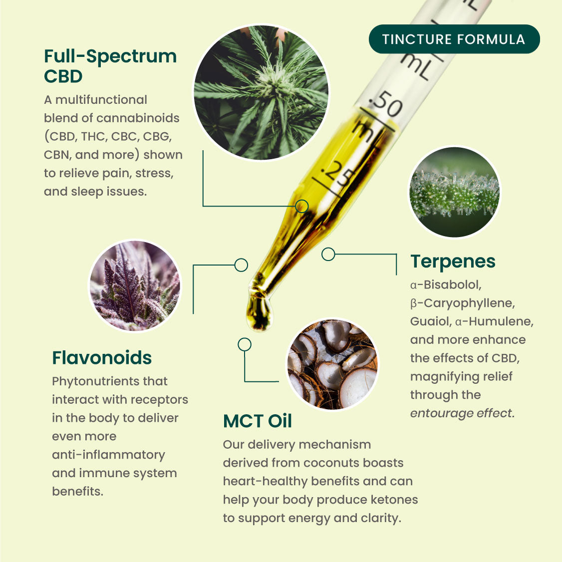 R&R CBD Multifunctional CBD Tinctures