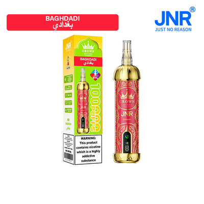 JNR Crown Shisha 100000 Puffs Disposable Vape Best Sales Price - Disposables