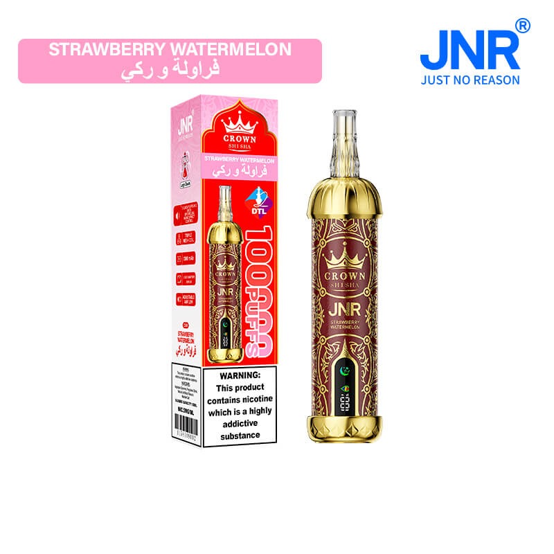 JNR Crown Shisha 100000 Puffs Disposable Vape Best Sales Price - Disposables