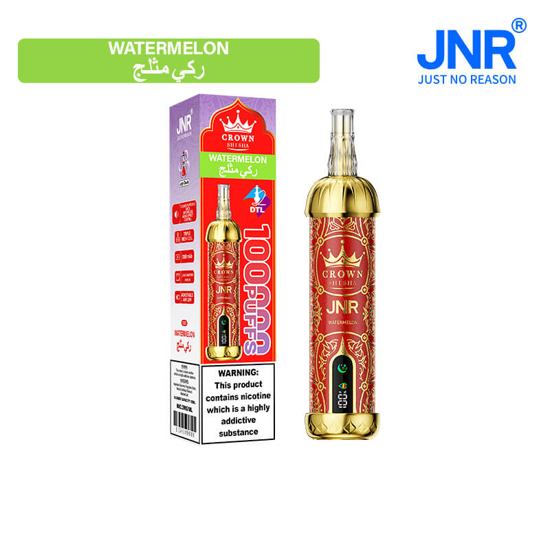 JNR Crown Shisha 100000 Puffs Disposable Vape Best Sales Price - Disposables