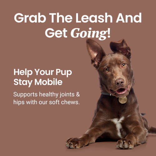 Holistapet Joint Support Soft Chews for Dogs