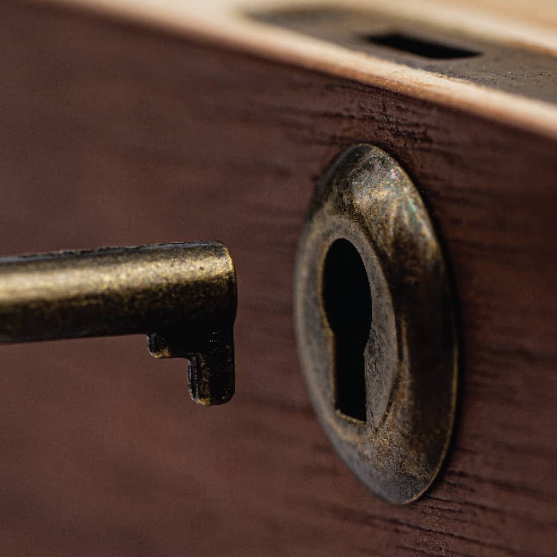 Humidor Walnut Combo Box (8×11)
