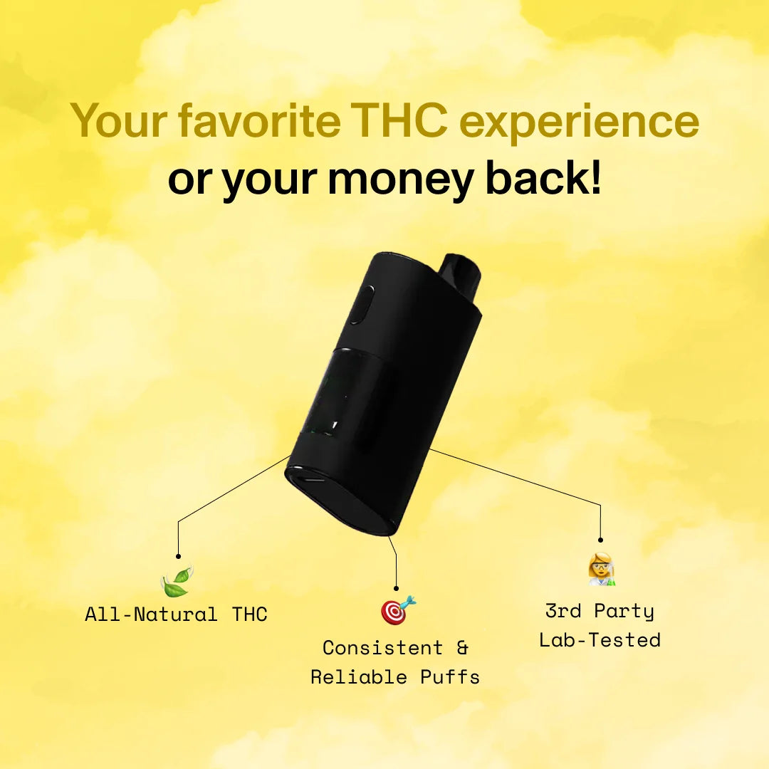 Diet Smoke Lemon Super Haze