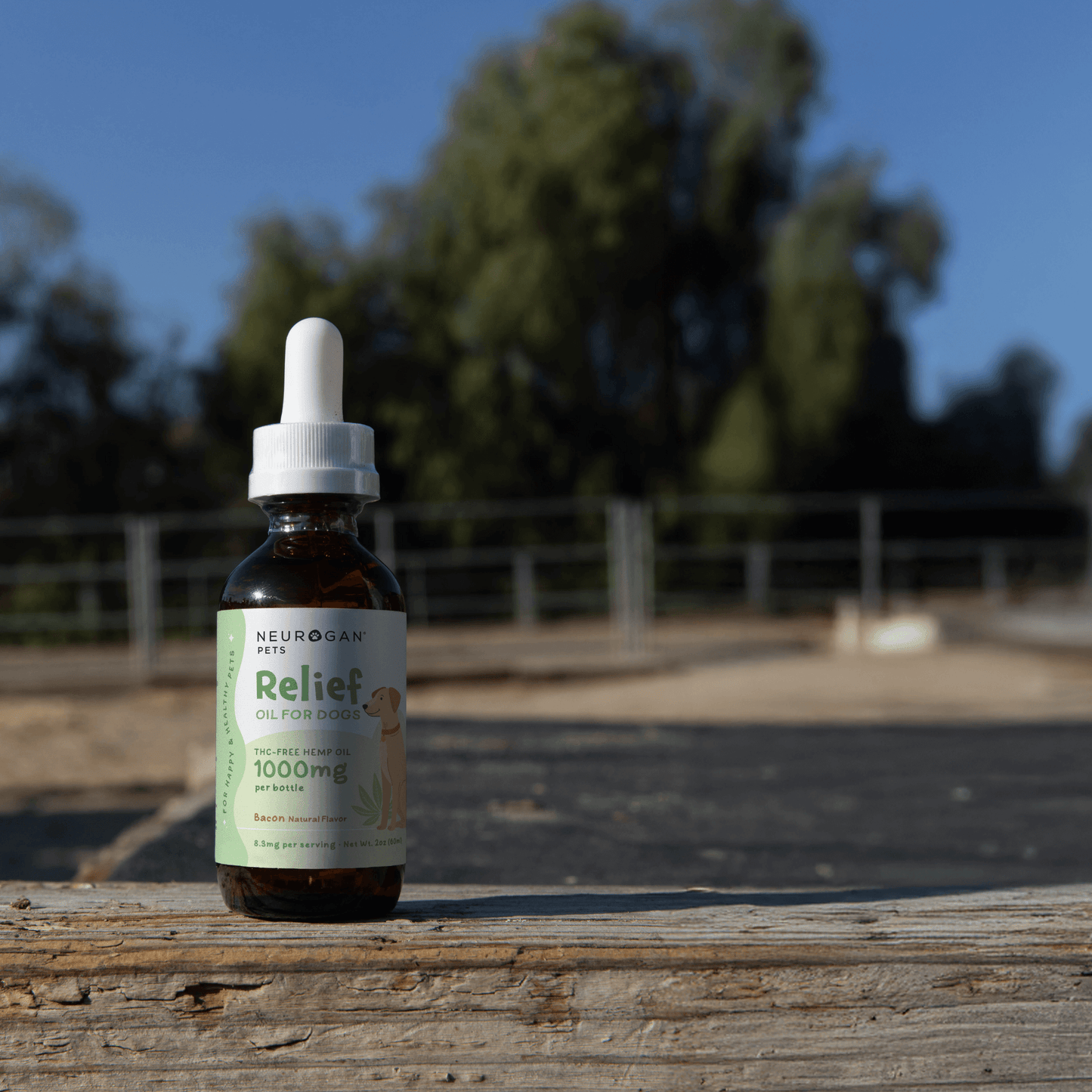 Neurogan Bacon Flavored CBD Oil for Dogs