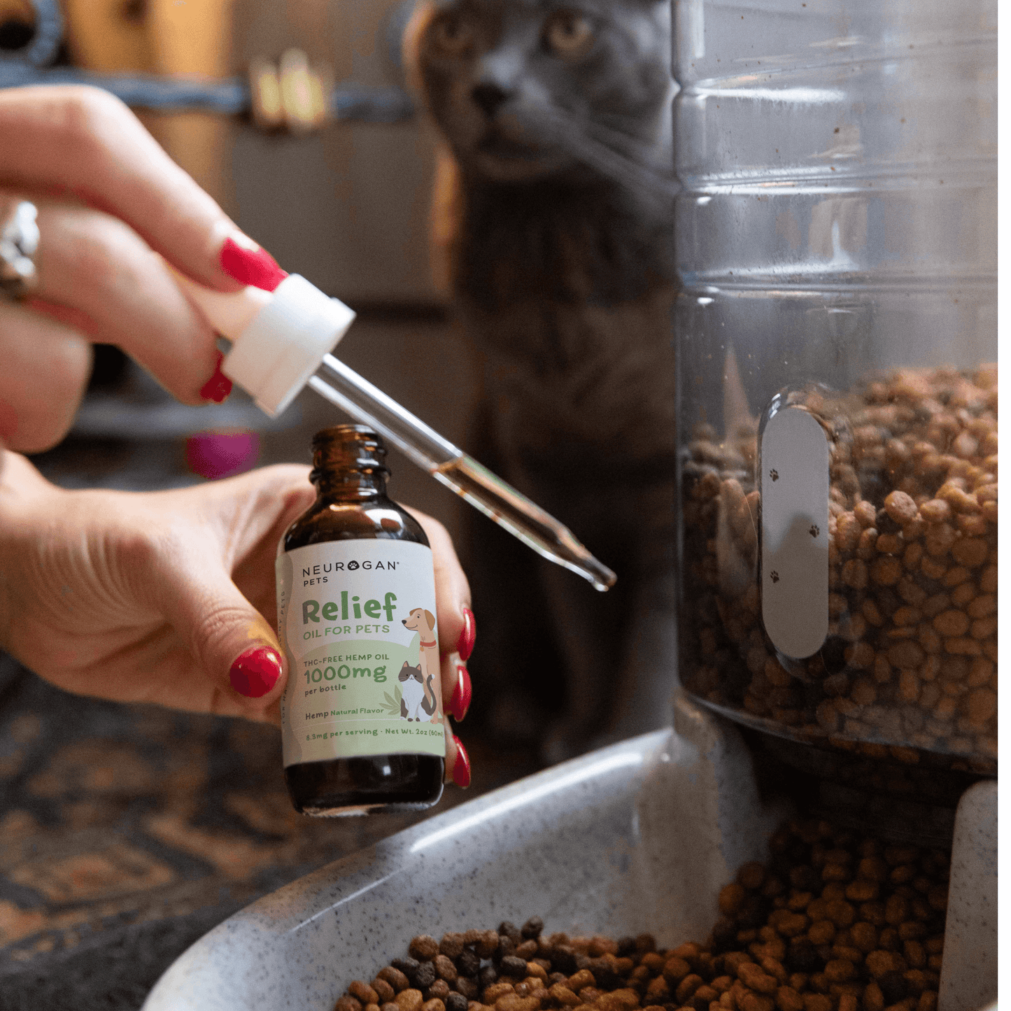 Neurogan Pet CBD Tincture 1000MG