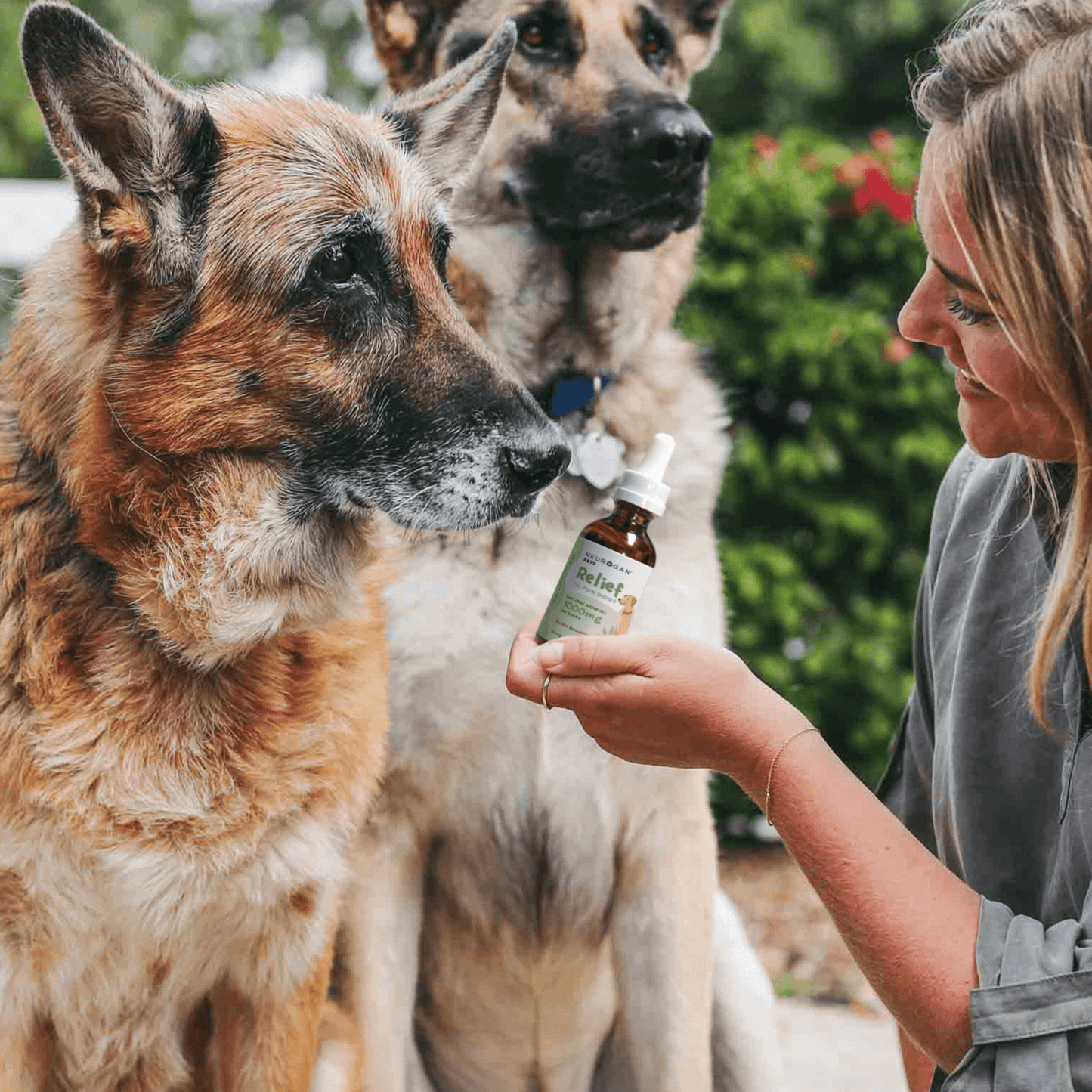 Neurogan Bacon Flavored CBD Oil for Dogs