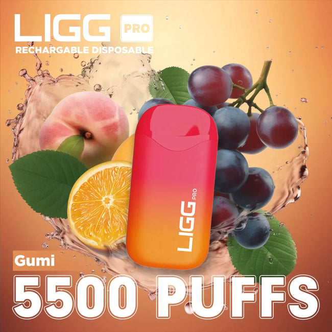 Ligg Pro 5500 Puffs Disposable Vape - Gumi Best Sales Price - Disposables