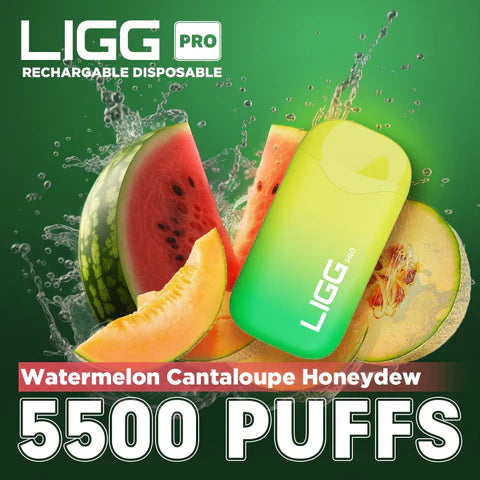 Ligg Pro 5500 Puffs Disposable Vape - Watermelon Cantaloupe Honeydew Best Sales Price - Disposables