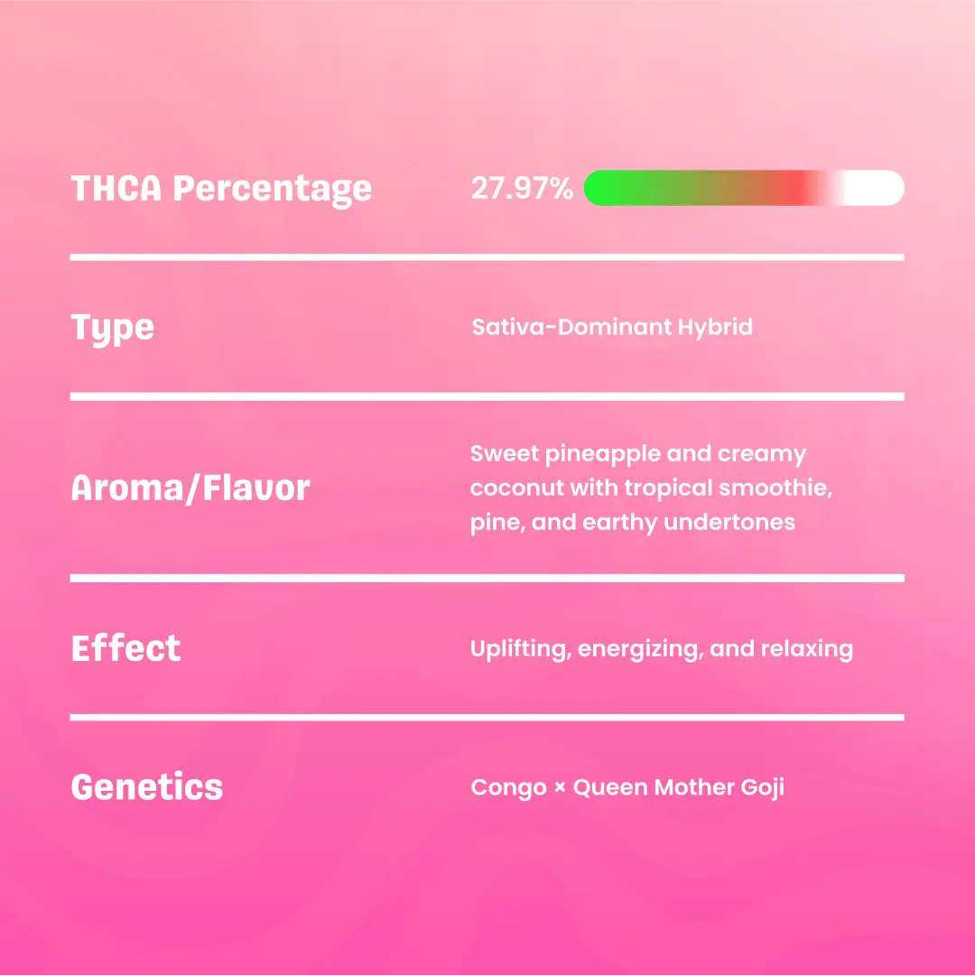 Live Hash Rosin Pina Colada Gummies